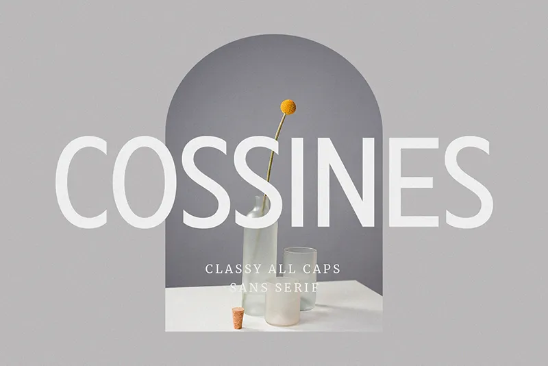 Cossines author illustration