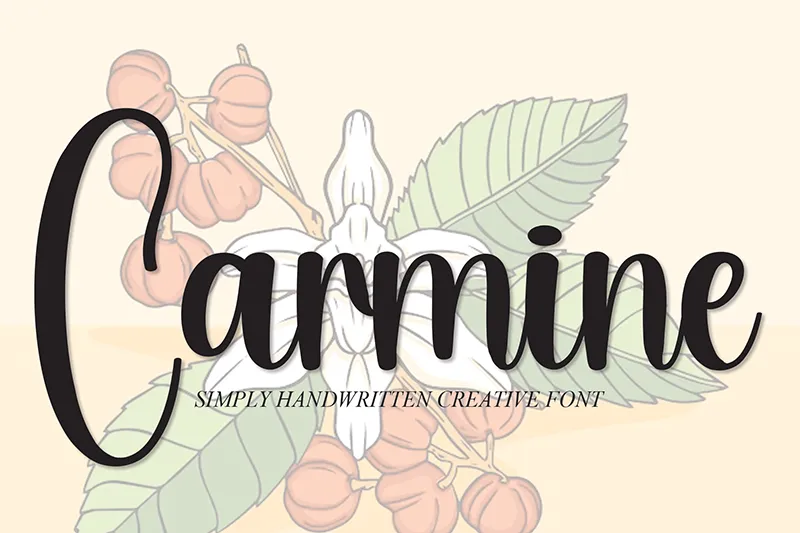 Carmine author illustration