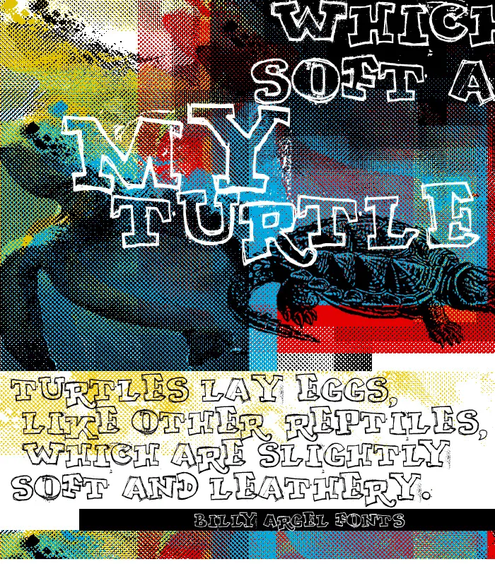 MY TURTLE author illustration