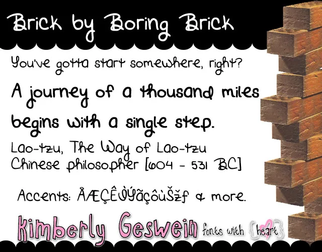 Brick by Boring Brick author illustration