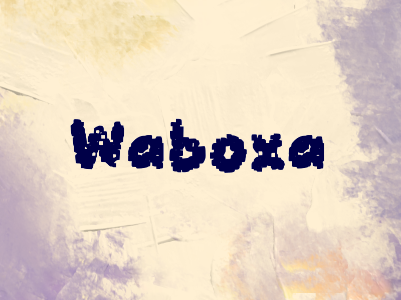 Waboxa author illustration