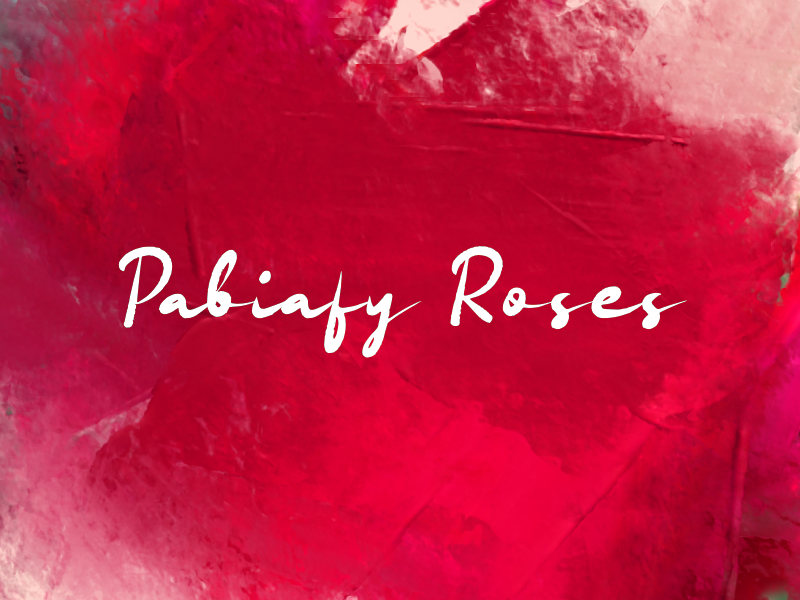 Pabiafy Roses author illustration