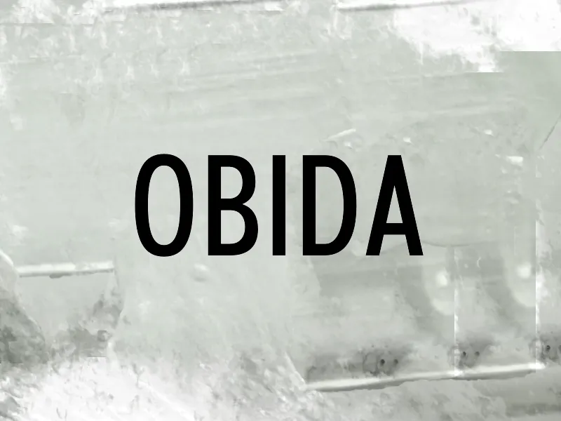 Obida author illustration