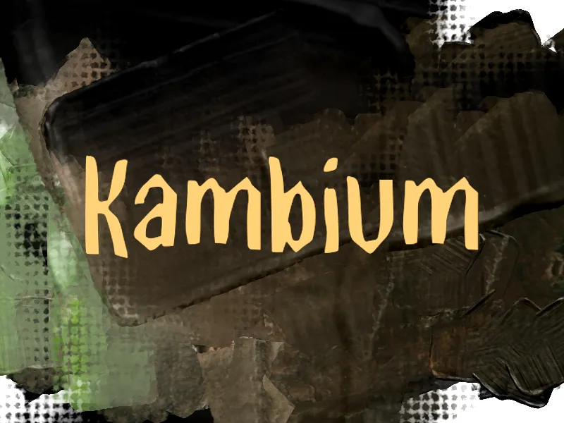 K Kambium author illustration