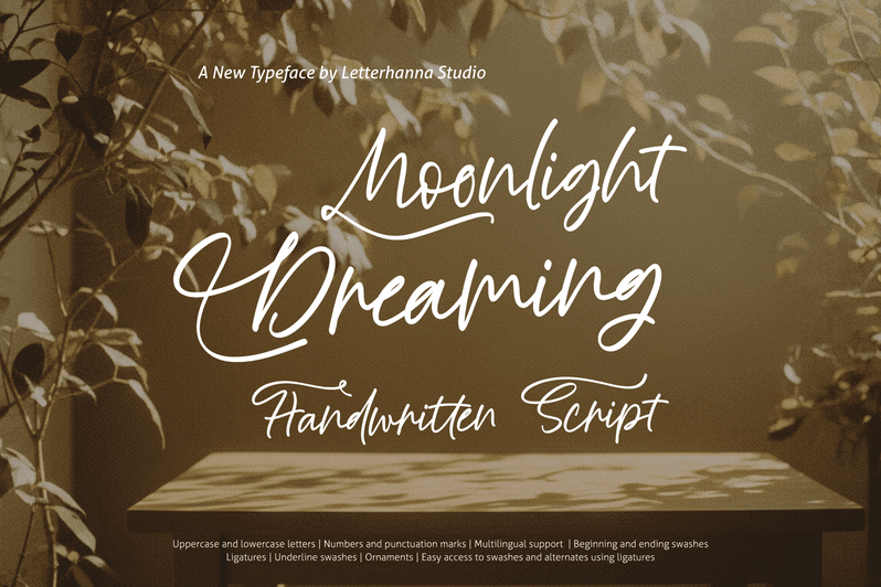 Moonlight Dreaming author illustration