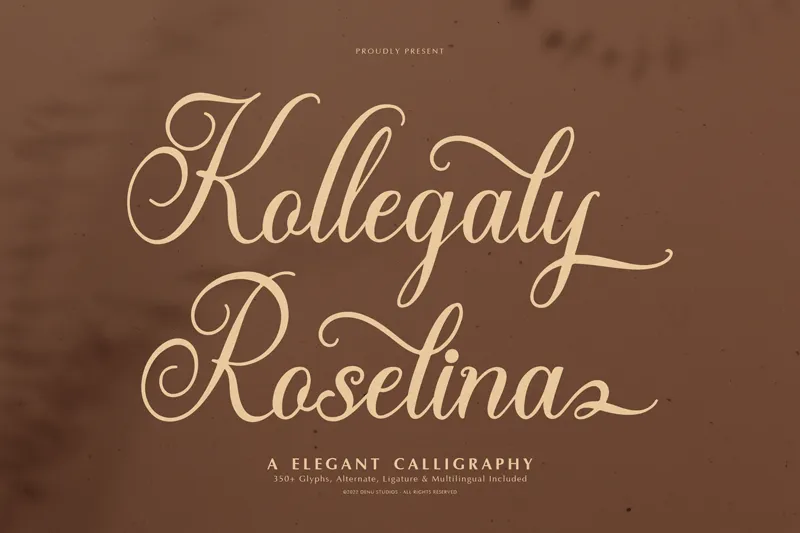 Kollegaly Rosalina author illustration