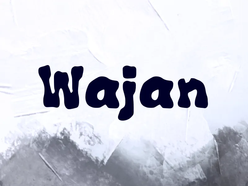 Wajan author illustration
