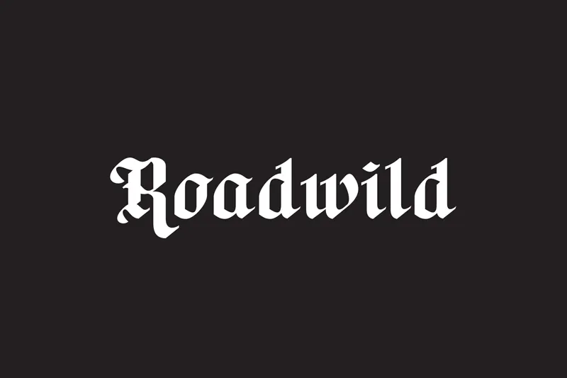 Road Wild author illustration