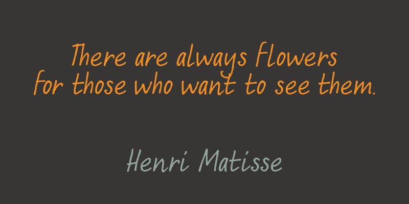 DK Abelia author illustration