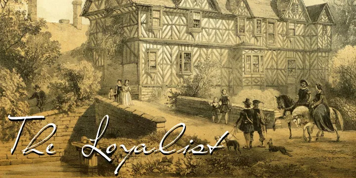 The Loyalist author illustration