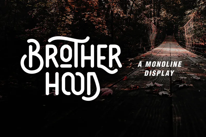 Brotherhood author illustration
