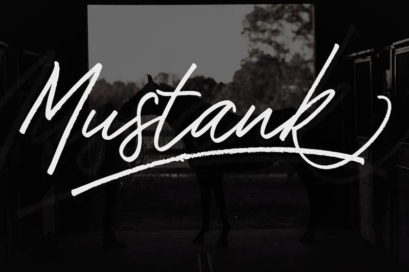 Mustank author illustration